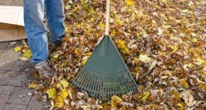 100% Green waste incurs cheaper skip bin hire costs.